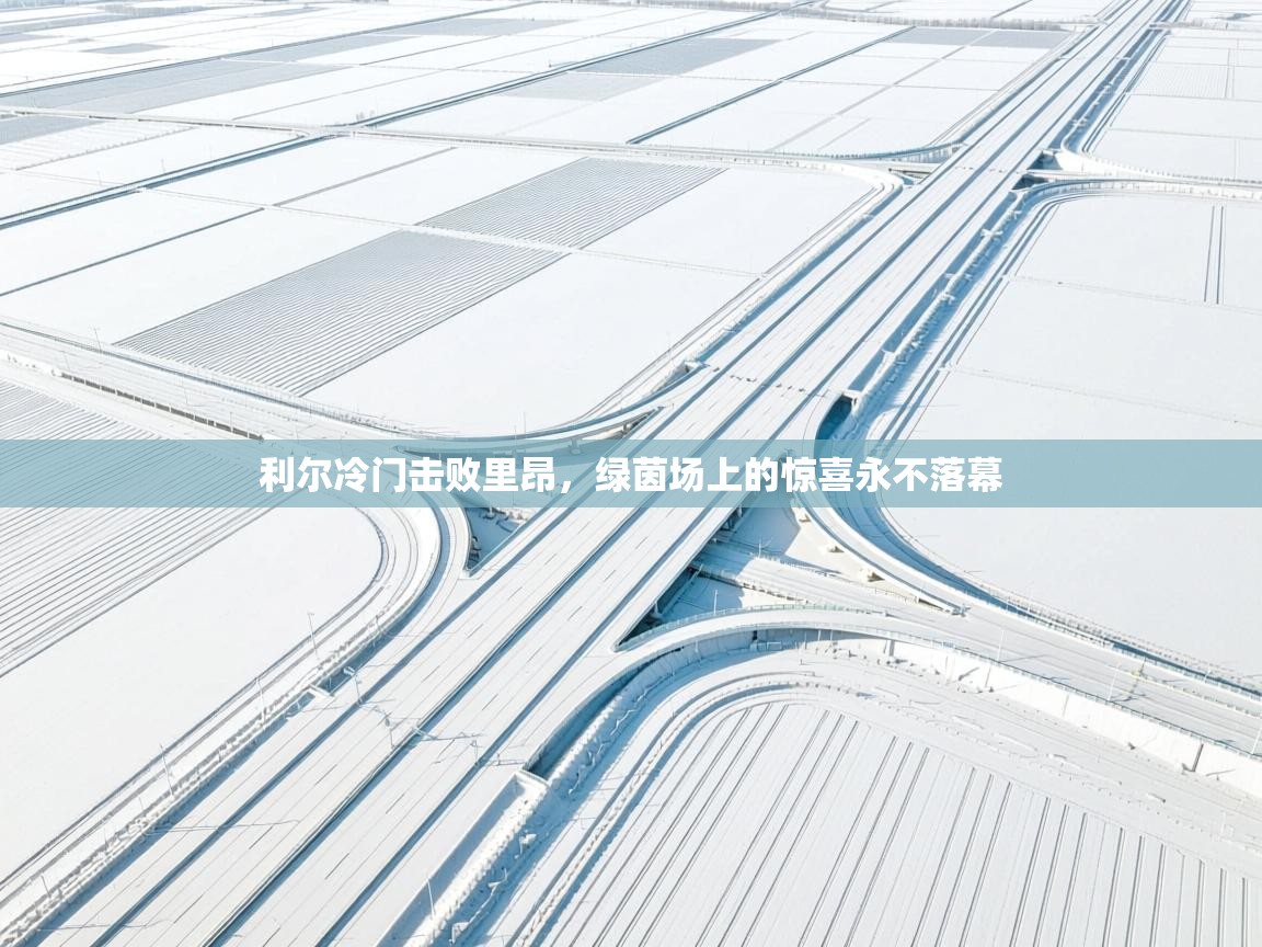 利尔冷门击败里昂,绿茵场上的惊喜永不落幕 第1张